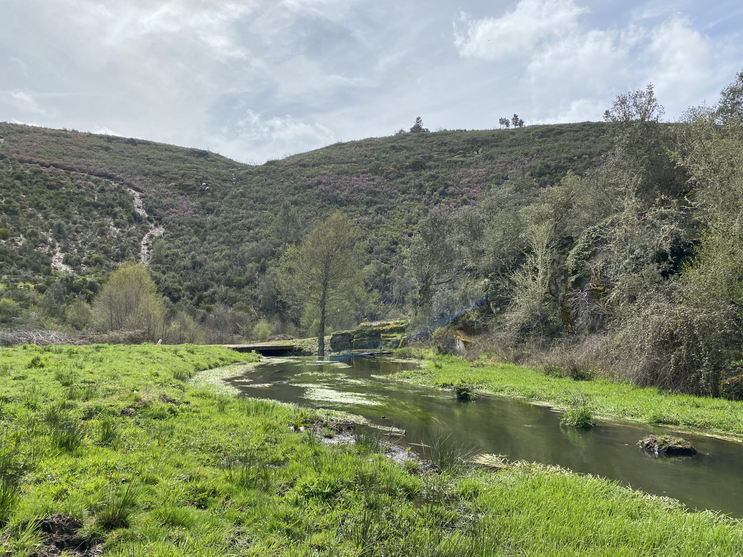 Vallée et landes en cours de reboisement, vue aérienne